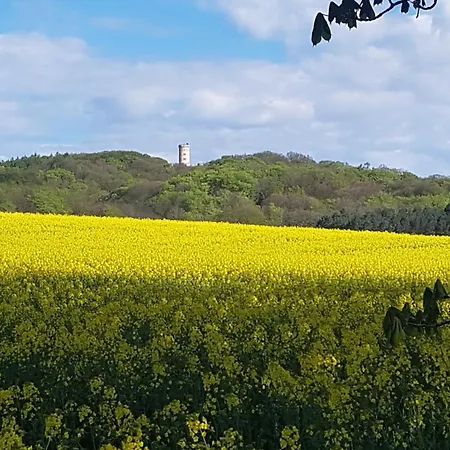 Schwedenhaus Apartamento *